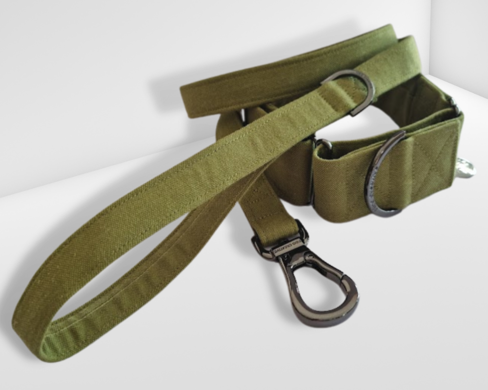 Olive Green martingale collar - Water Resistant