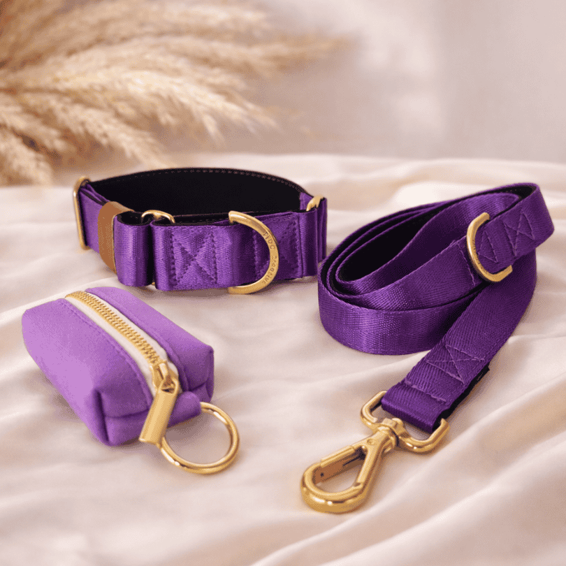 Royal Purple Martingale Collar – Comfortable Padded Dog Collar With Solid Brass Hardware
