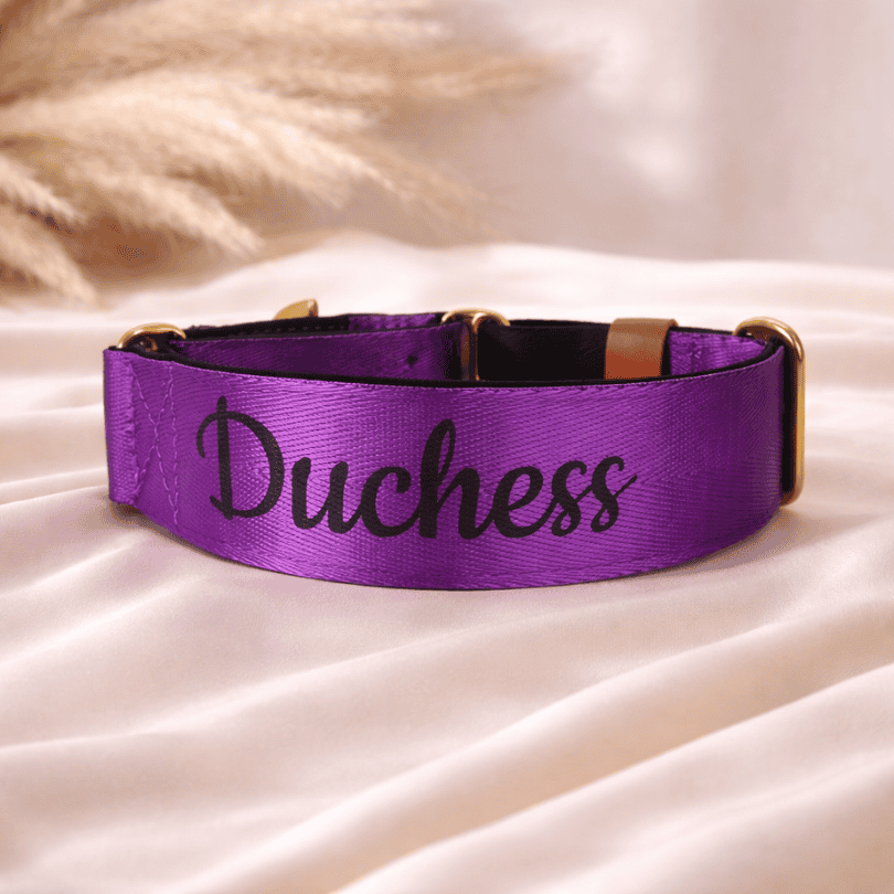 Purple name dog collar