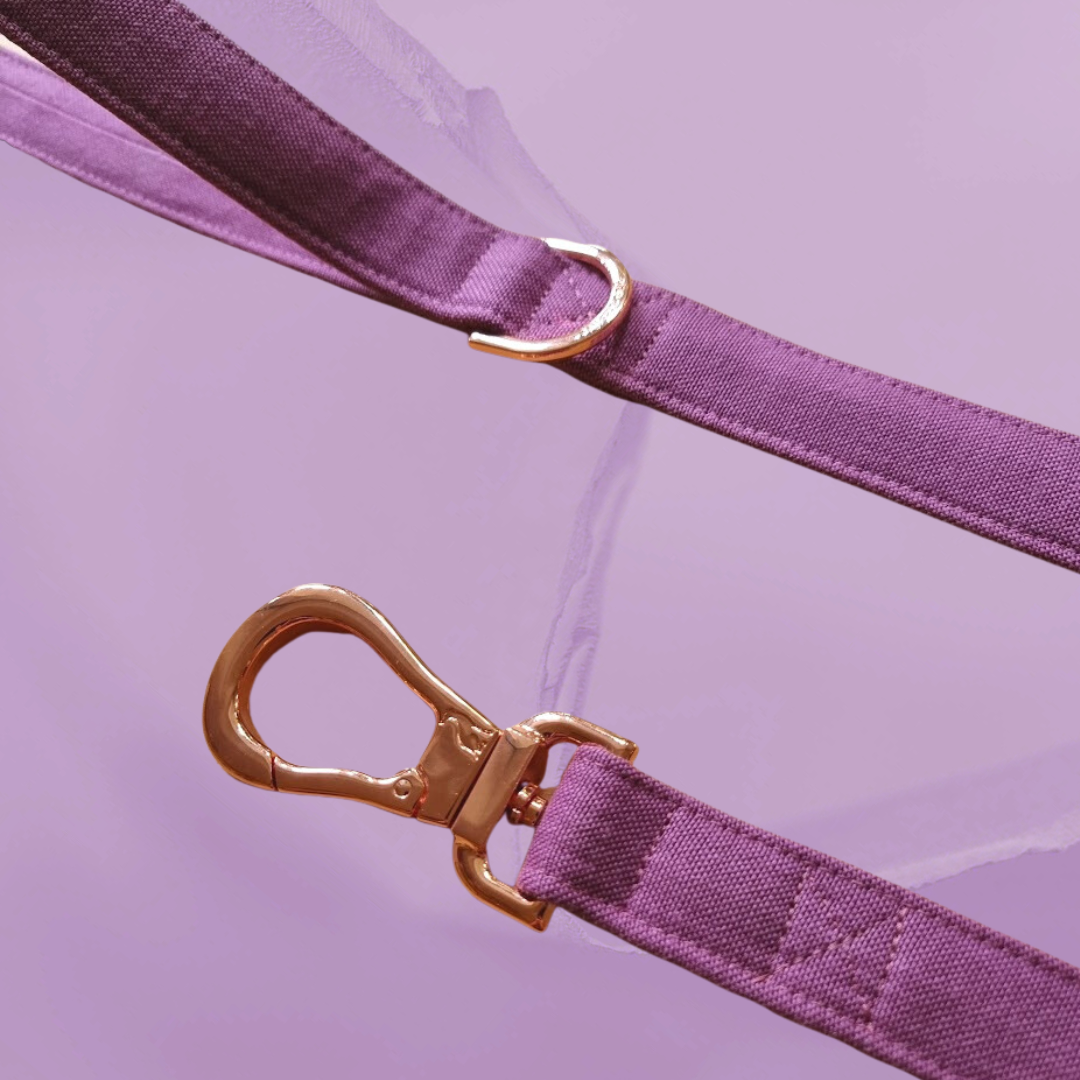 Passiona purple dog leash