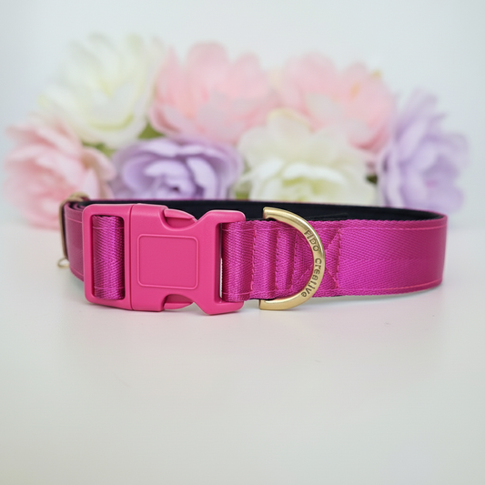 Pink dog collar with a solid brass hardware