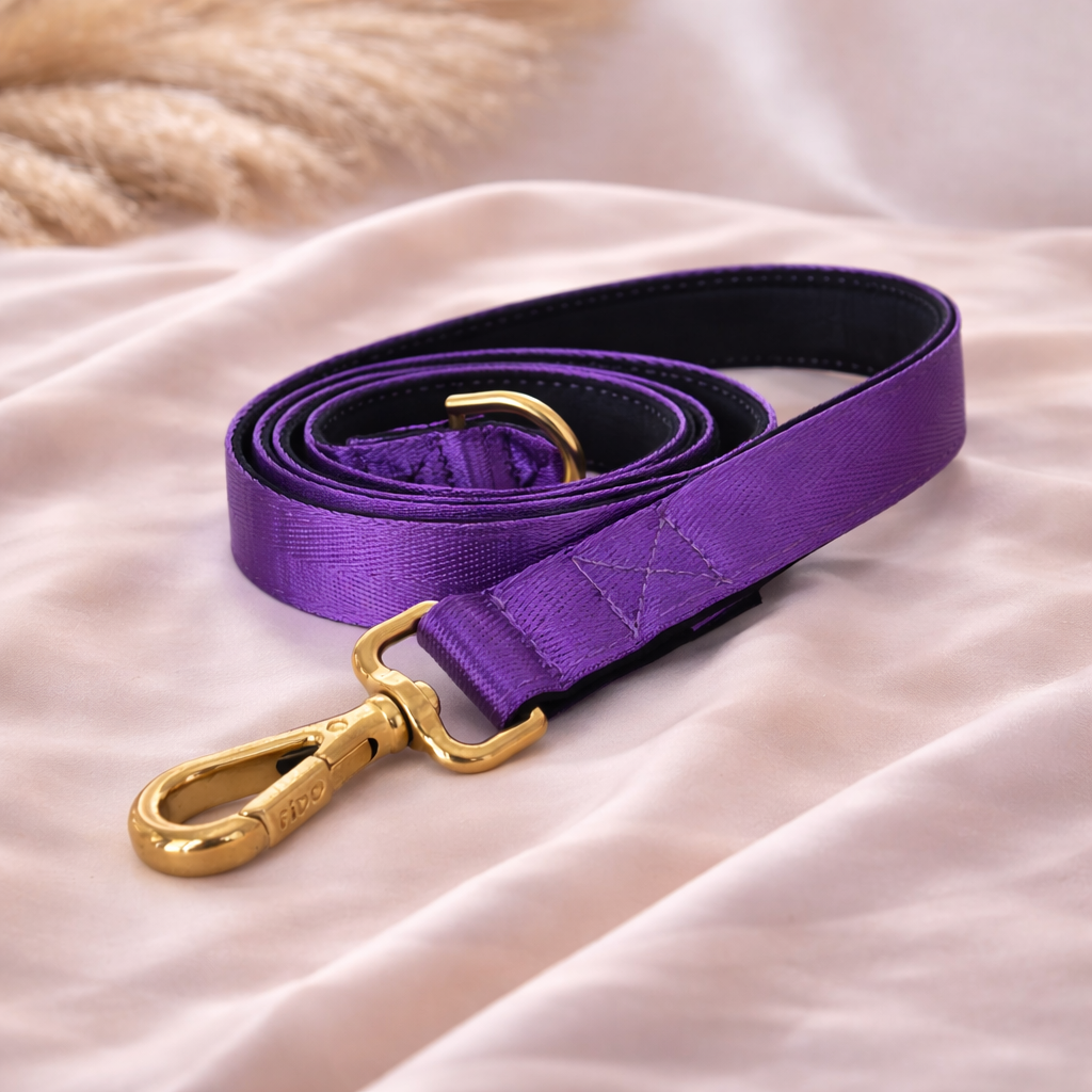 Padded Dog Leash - Royal Purple Neoprene Leash with Soft Grip