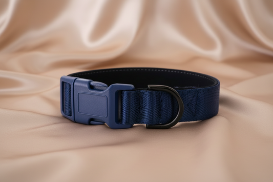 Navy Blue Dog Collar – Padded Buckle Collar