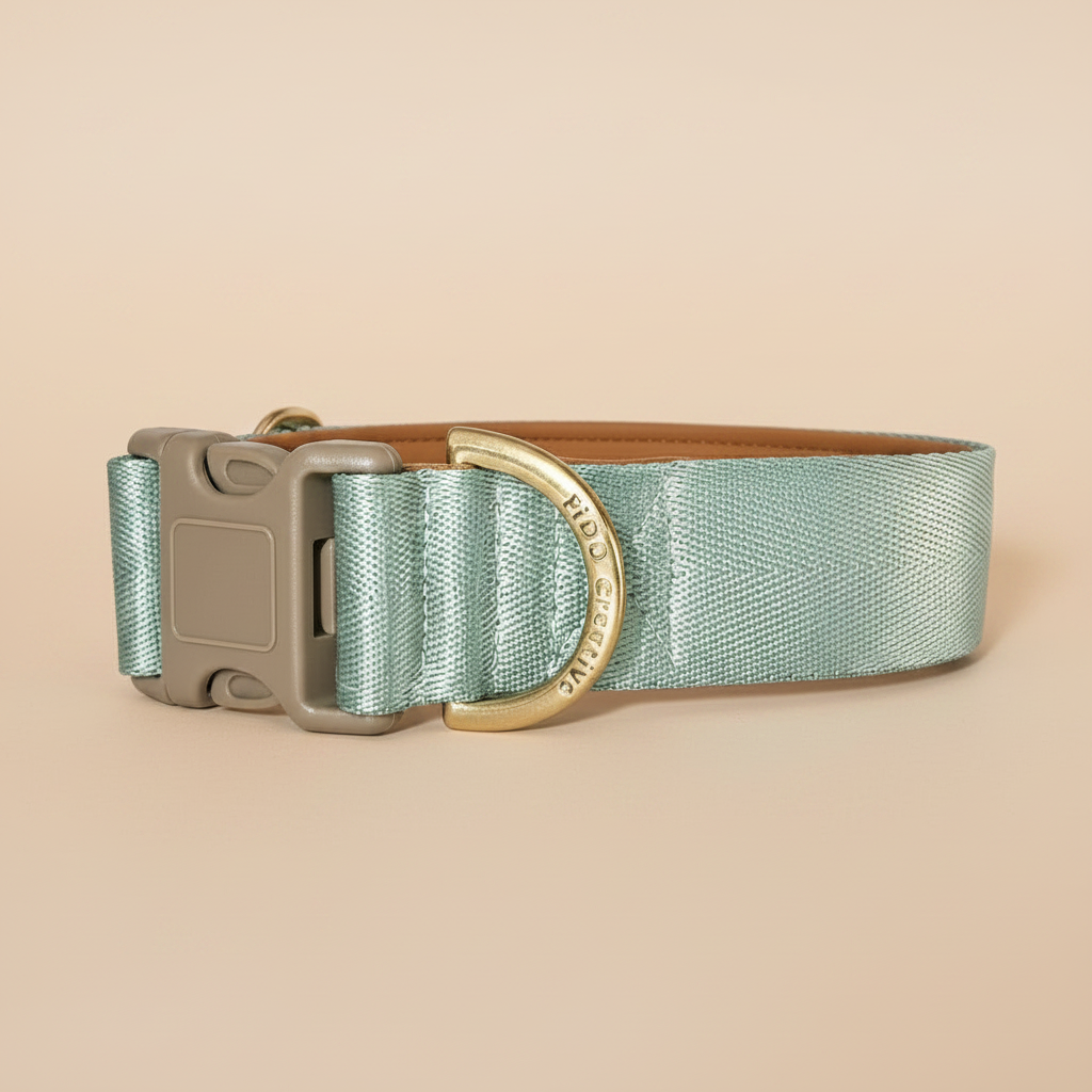 Dog collar with green fabric and gold buckle on a beige background