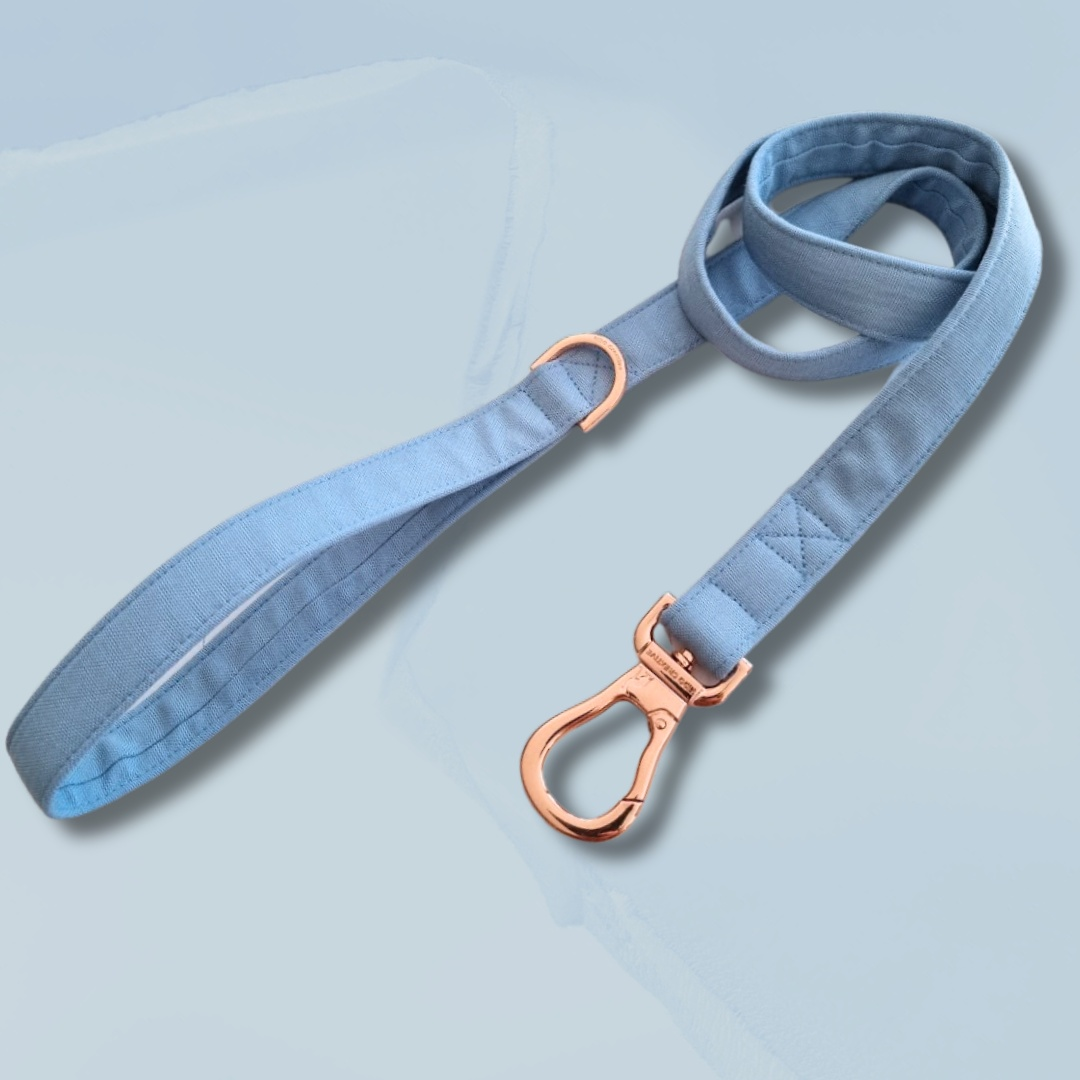 Sky Blue dog leash