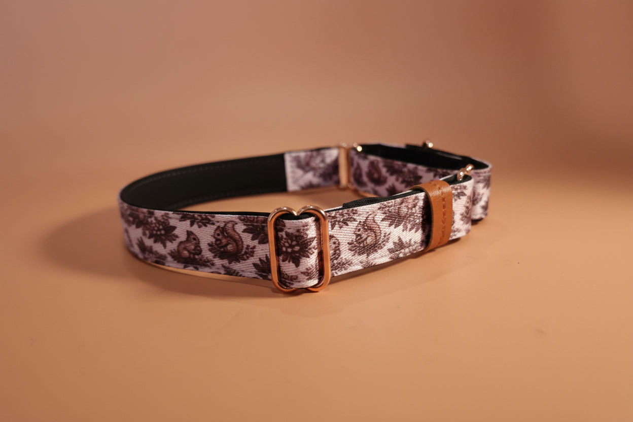 Squirrel martingale collar 