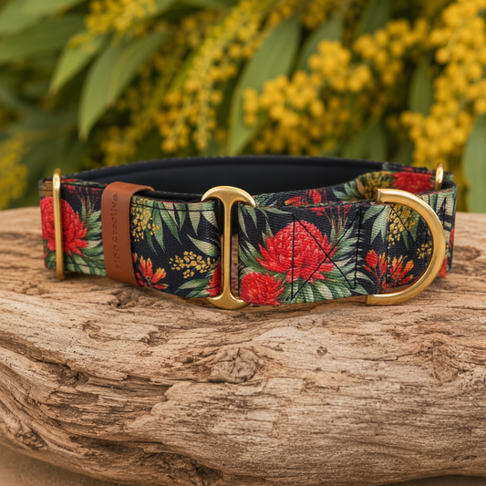 Waratah Martingale Collar – Australian Native Floral Dog Collar