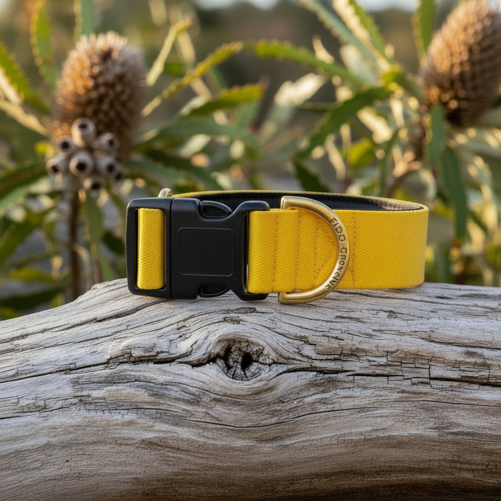 Yellow dog collar with gold buckle on a wooden log with plants in the background