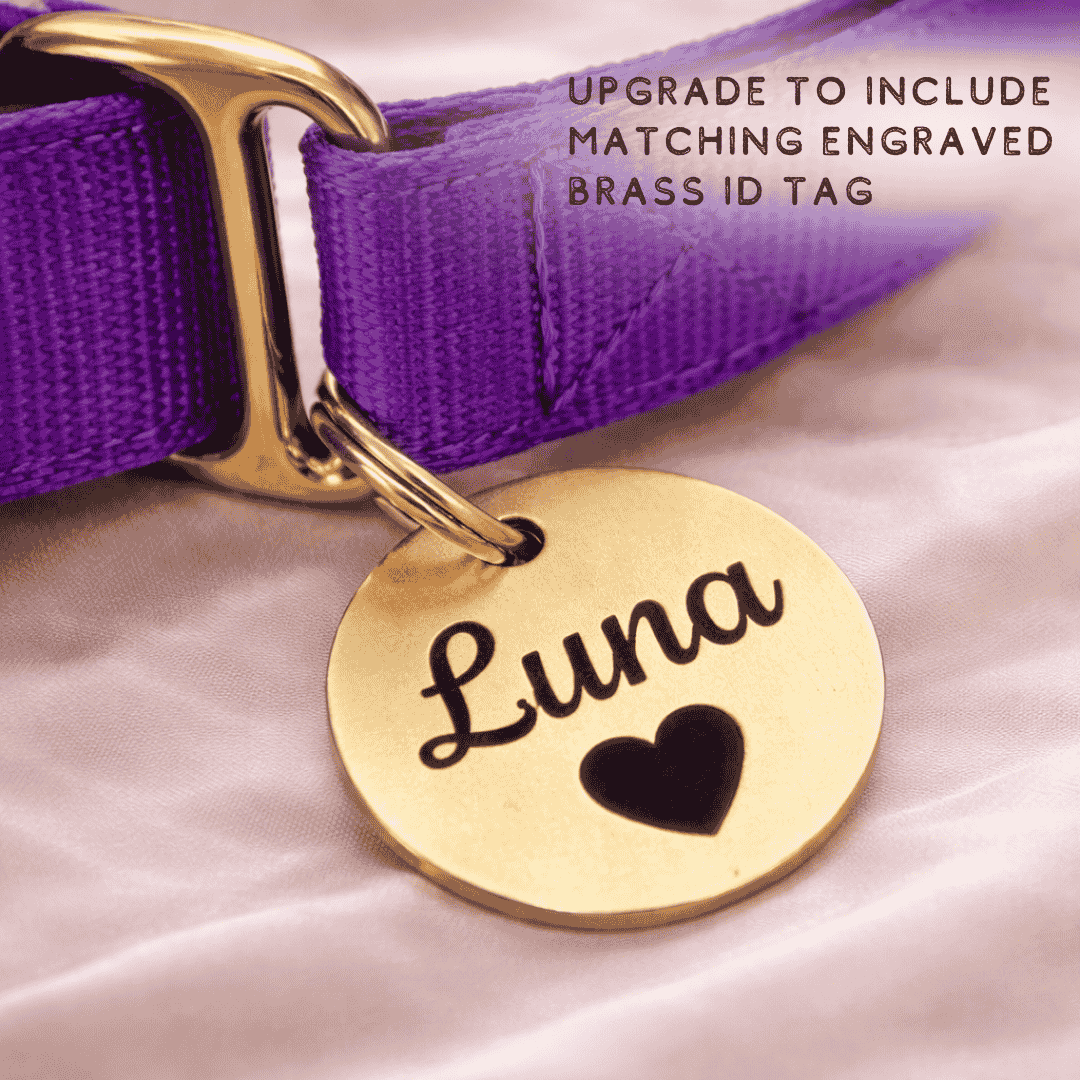 A purple dog collar with a gold-colored tag that says "Luna" and has a heart symbol.