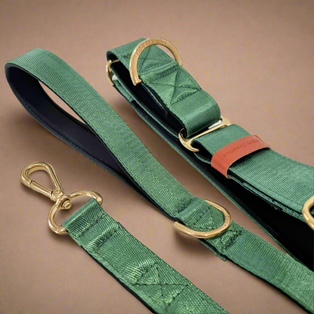 a green strap with a gold buckle on a brown background