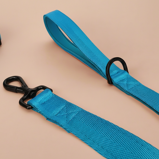 Blue dog leash with padded handle 
