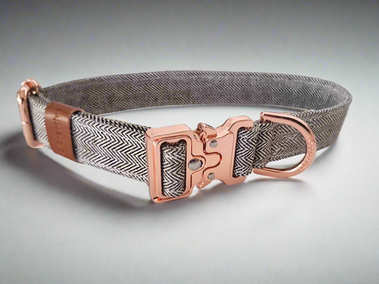 Herringbone buckle dog collar - 25mm (Copy)