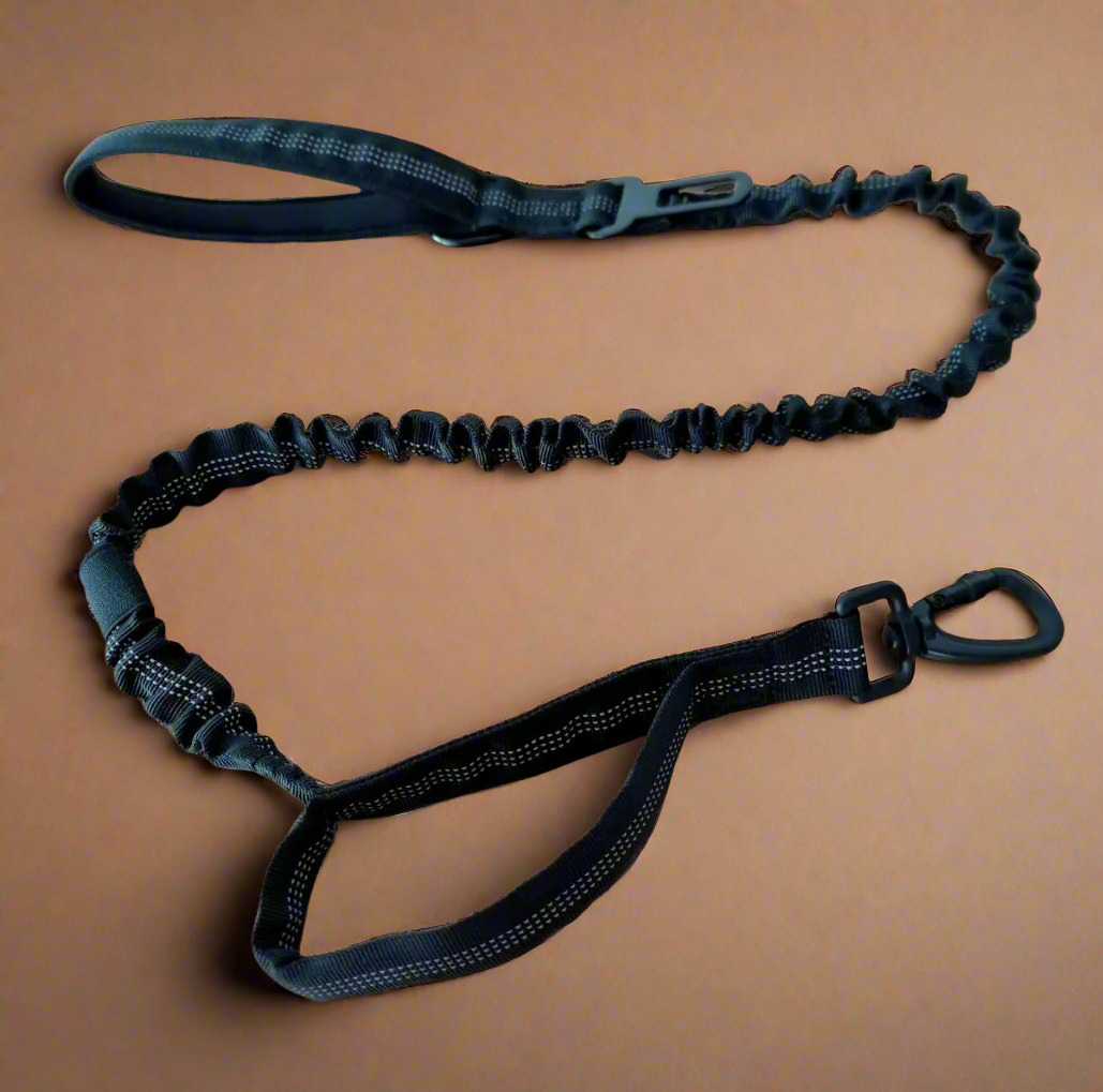 Black Bungee Dog Leash - Reflective - Seatbelt attachment