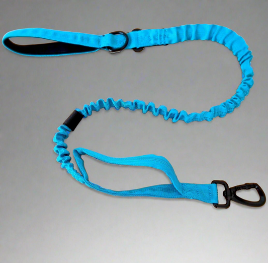 Blue bungee dog leash