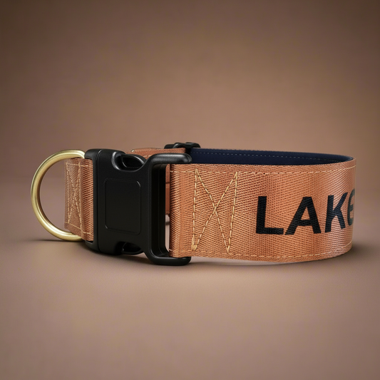 Brown padded dog collar with buckle