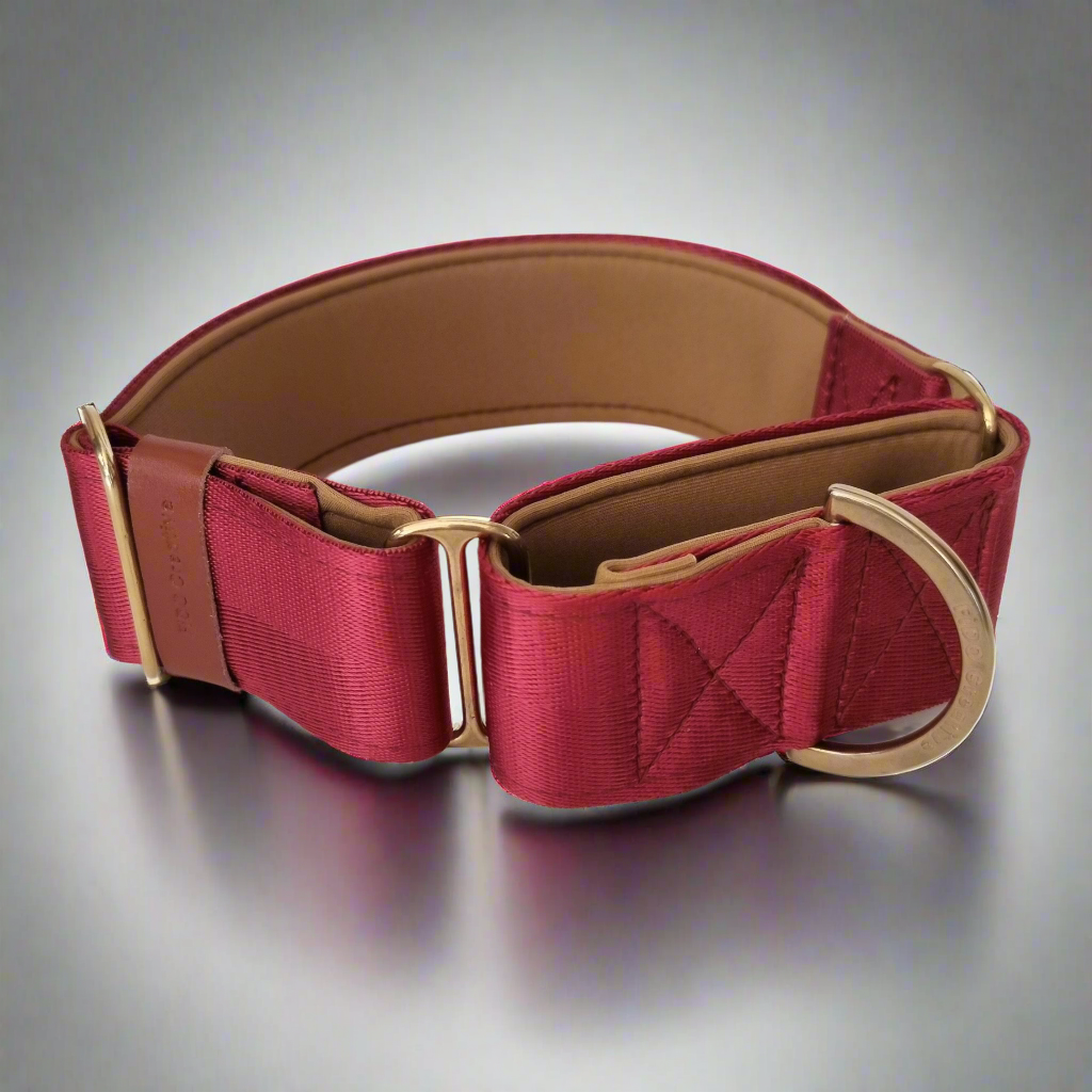 Red Wine martingale collar - neoprene padded