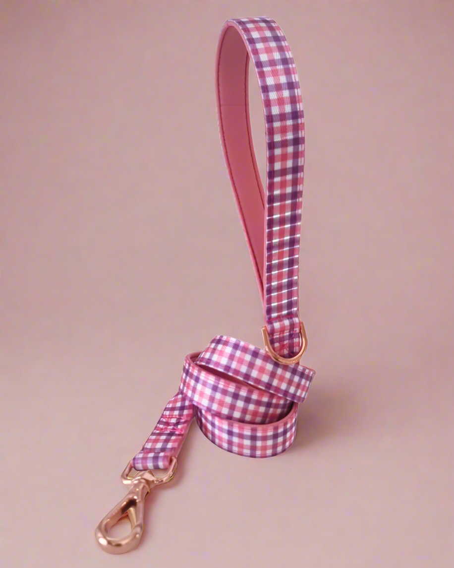 Dog Leash, Pink Purple Gingham - Neoprene Padded