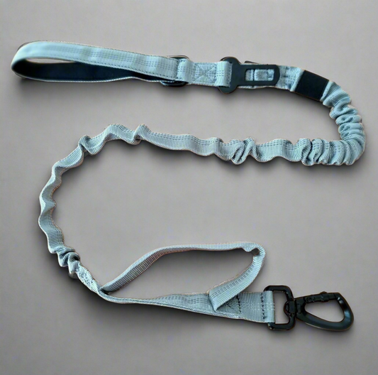 Grey Bungee Dog Leash - Reflective - Seatbelt attachment