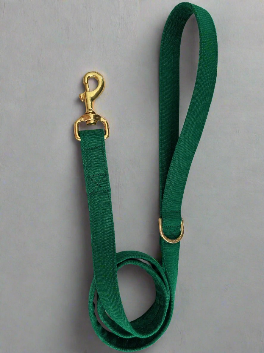 Green dog leash 