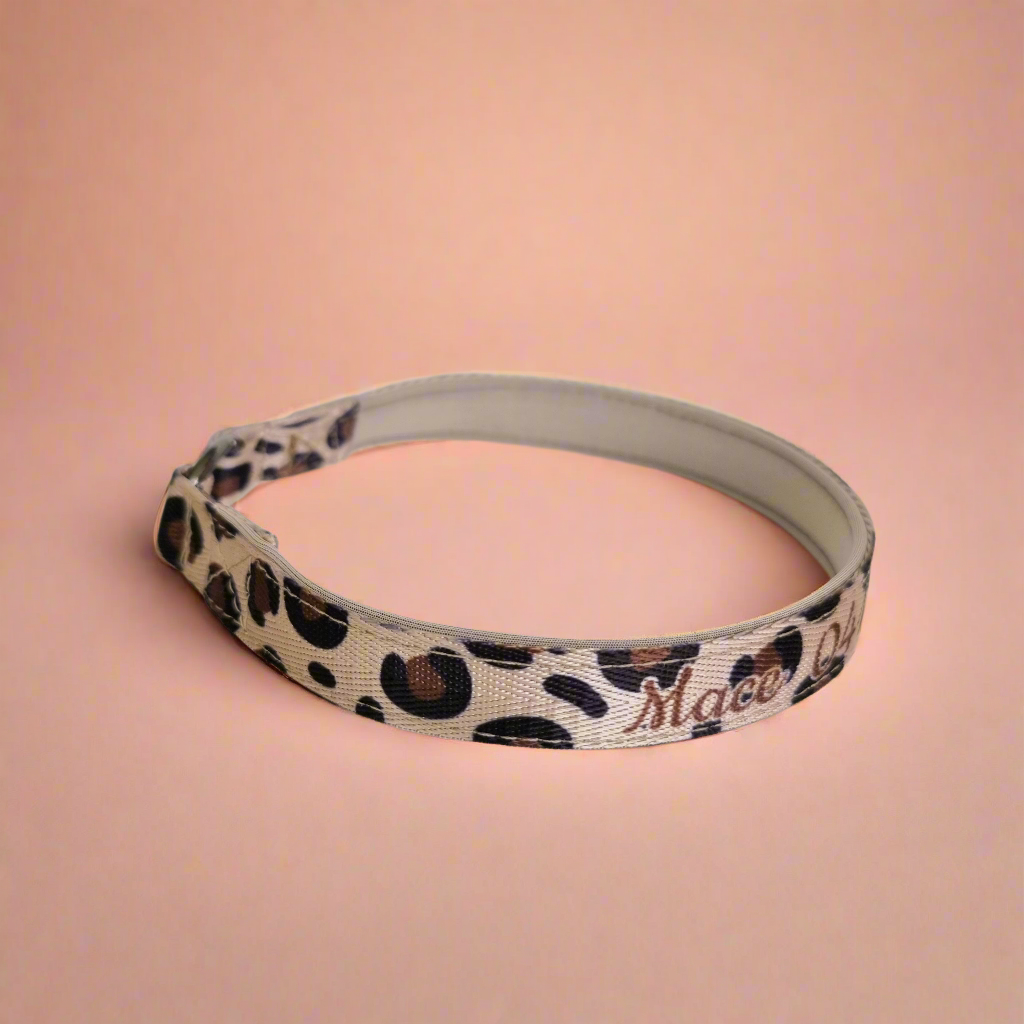 Personalised house id pet collar 