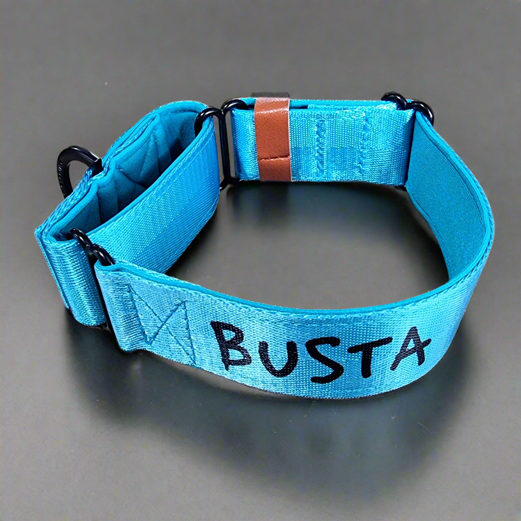 Custom martingale blue personalised with dogs name on it