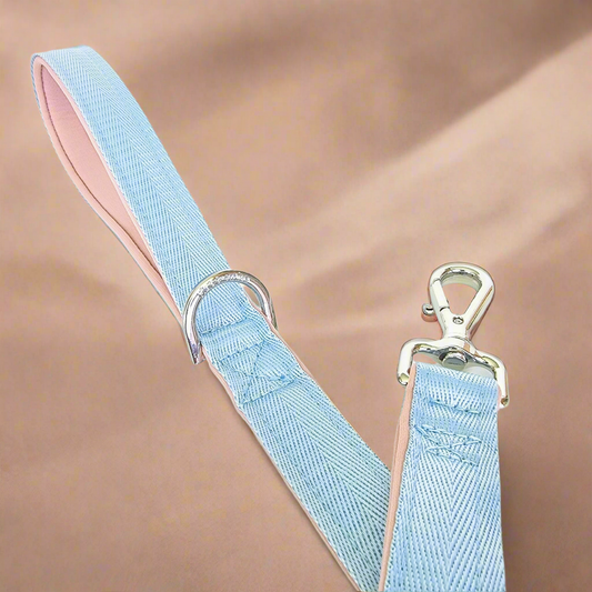 Baby Blue Dog Leash - Neoprene Padded