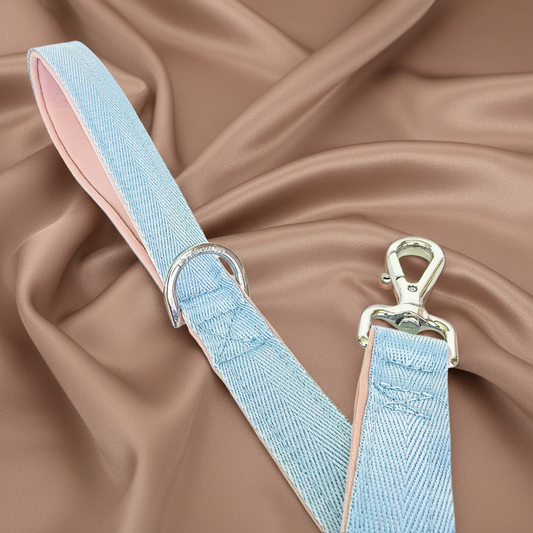 Baby Blue Dog Leash - Neoprene Padded