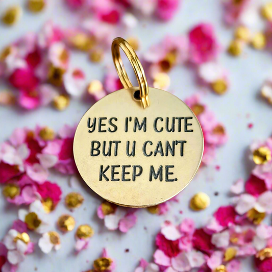 30mm Pet ID Tag - Yes Im cute