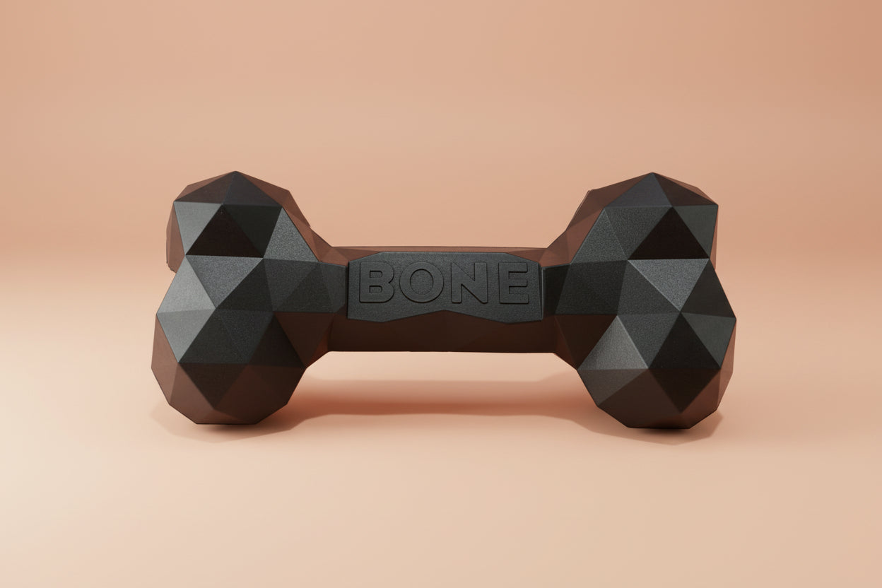 Black Bone_dog_Toy