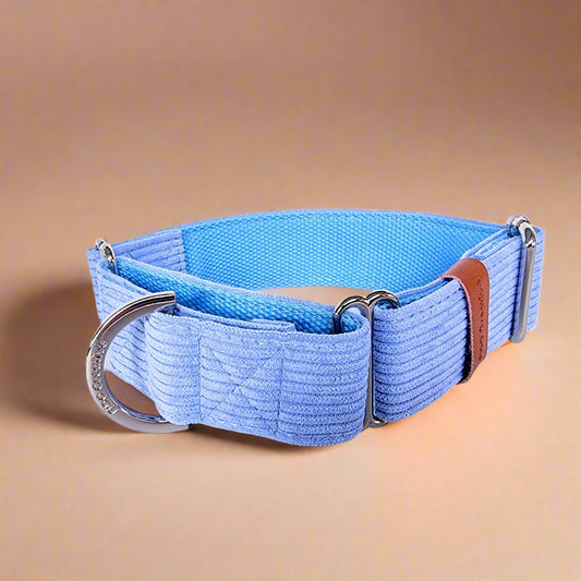 Blue Corduroy Martingale Dog collar