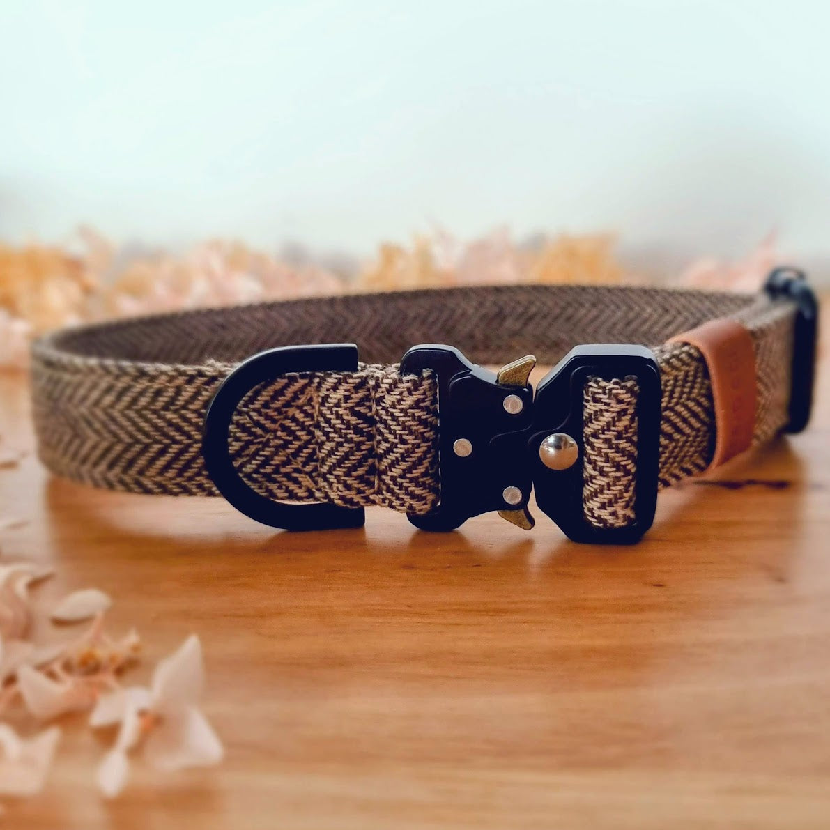 Coffee tweed buckle dog collar - 25mm