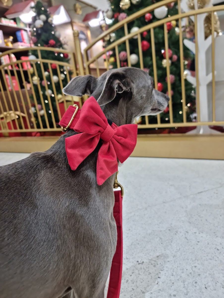 Christmas red dog collar and bow