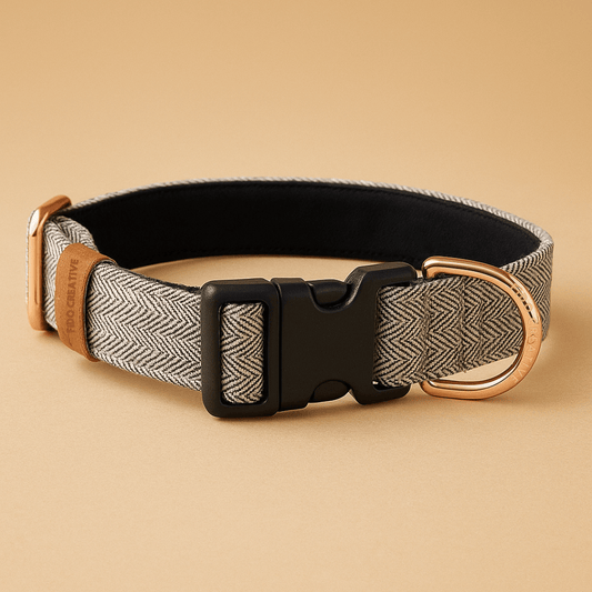 Herringbone buckle dog collar