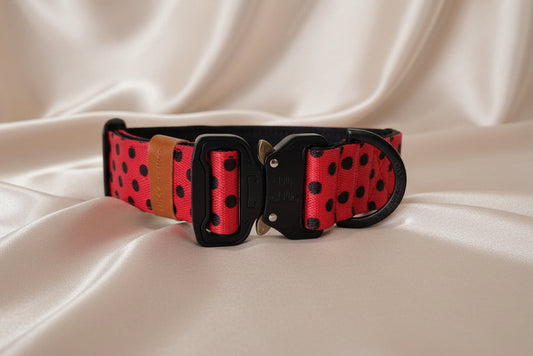 Red dog collar with black polka dots