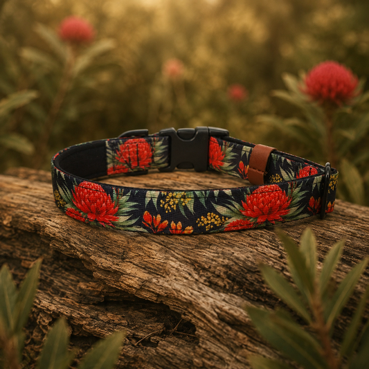 Waratah Dog Collar ā Australian Native Floral Buckle Collar
