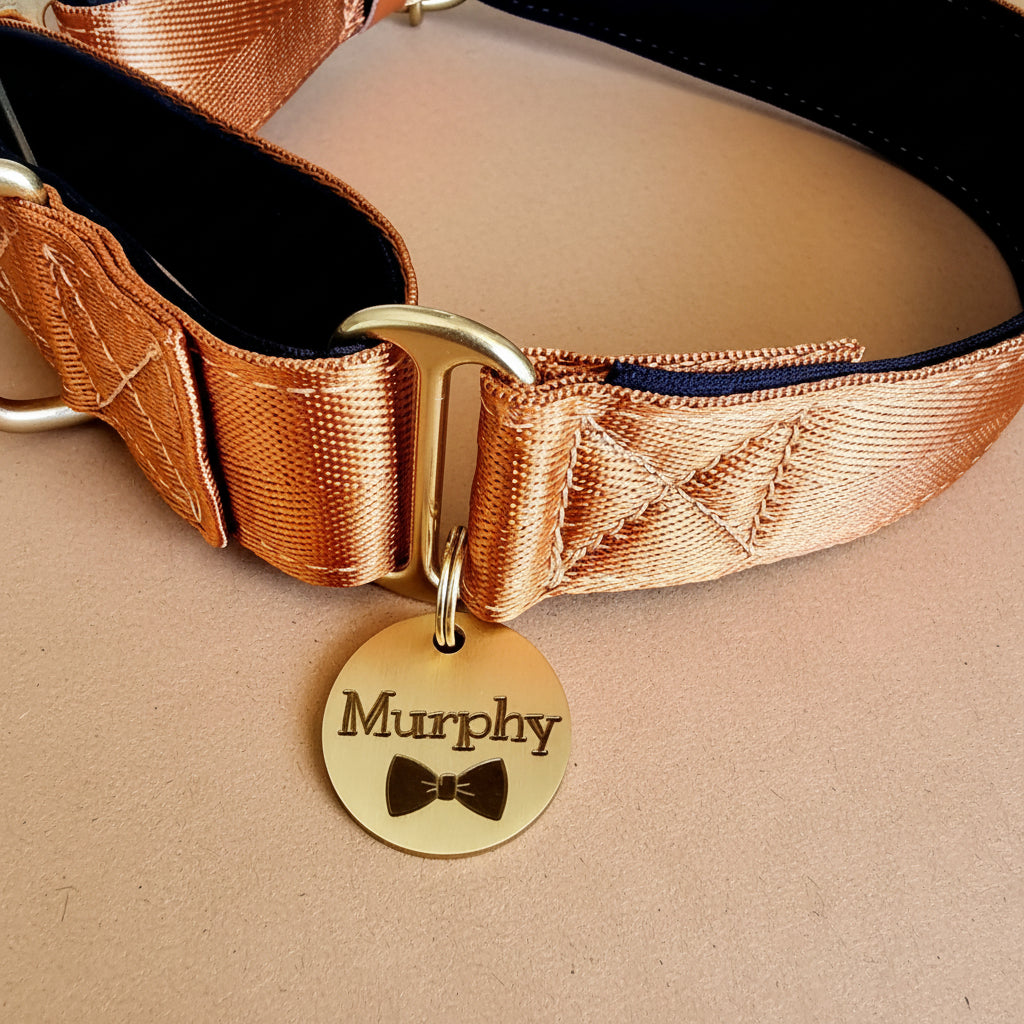 Dog collar with a gold tag reading 'Murphy'  the dog's name engraved on the tag with a bow tie
