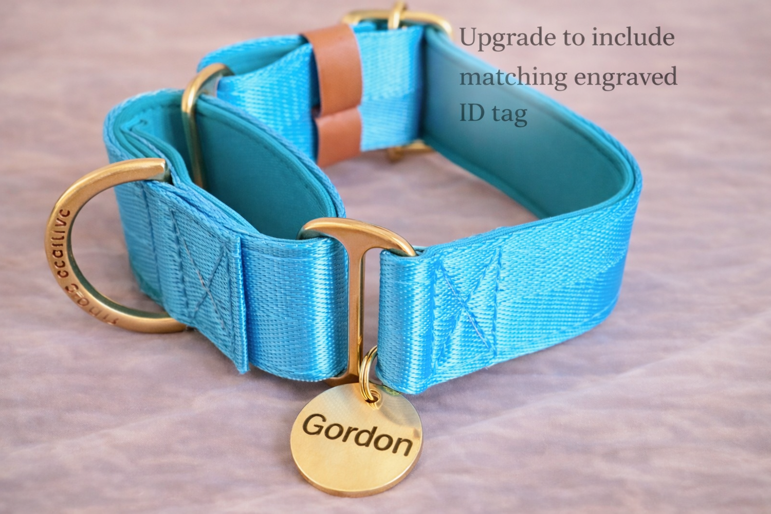A blue dog collar with a gold-colored tag and a matching gold-colored buckle, placed on a pinkish-brown surface.