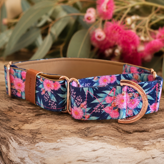 Australian Native Blossom Martingale Collar – Pink Gum Flowers Dog Collar