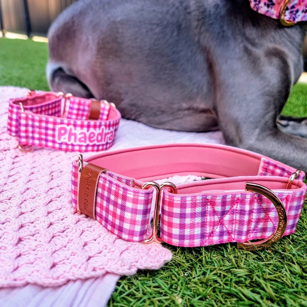 Pink purple dog collars