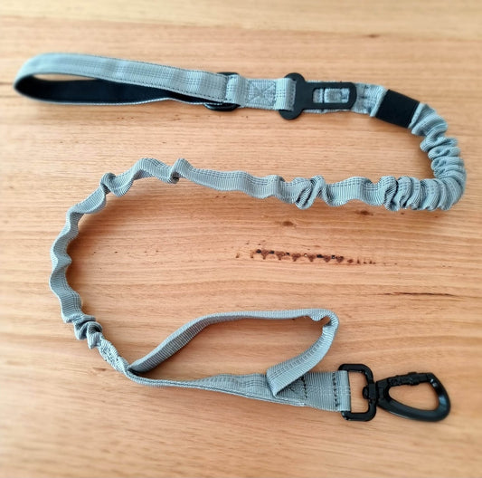 Grey Bungee Dog Leash - Reflective - Seatbelt attachment