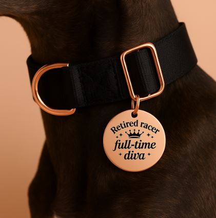 Custom greyhound identification tags