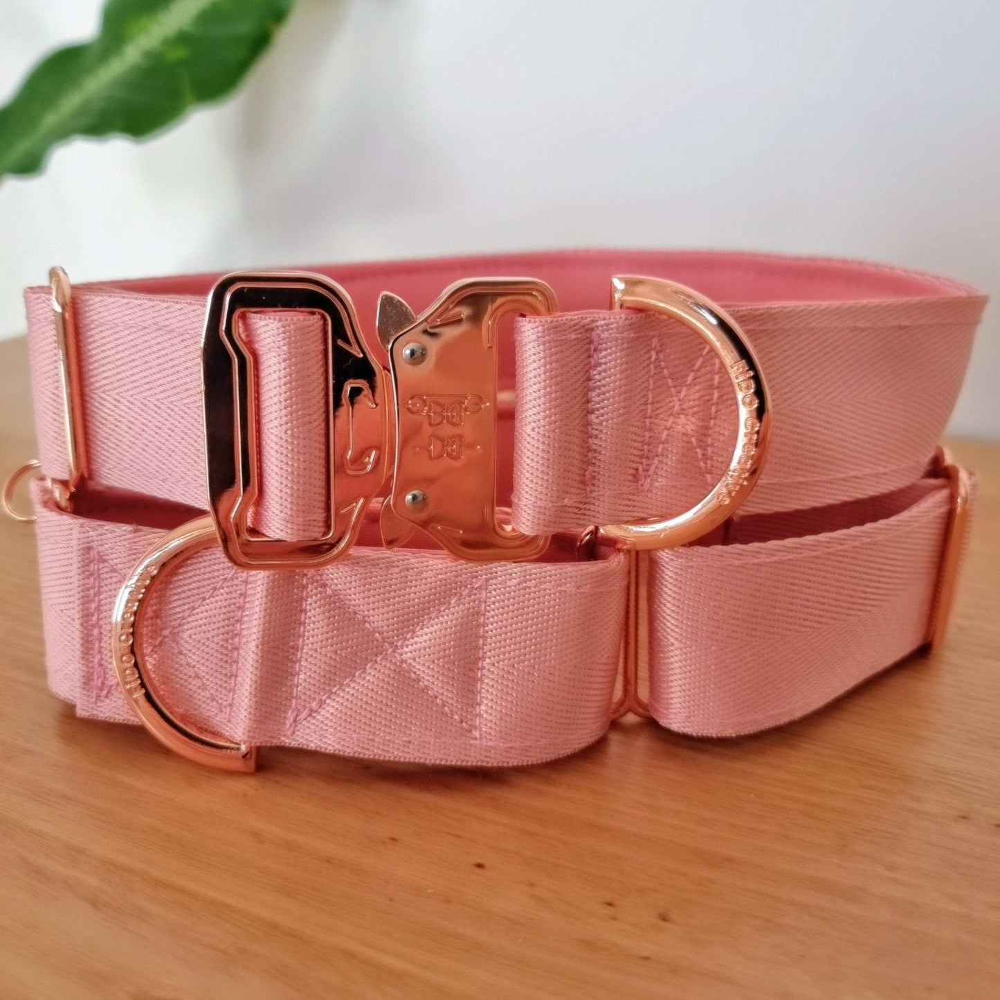soft pink padded dog collars