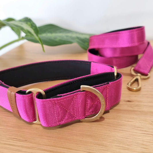 Bright pink martingale collar and leash