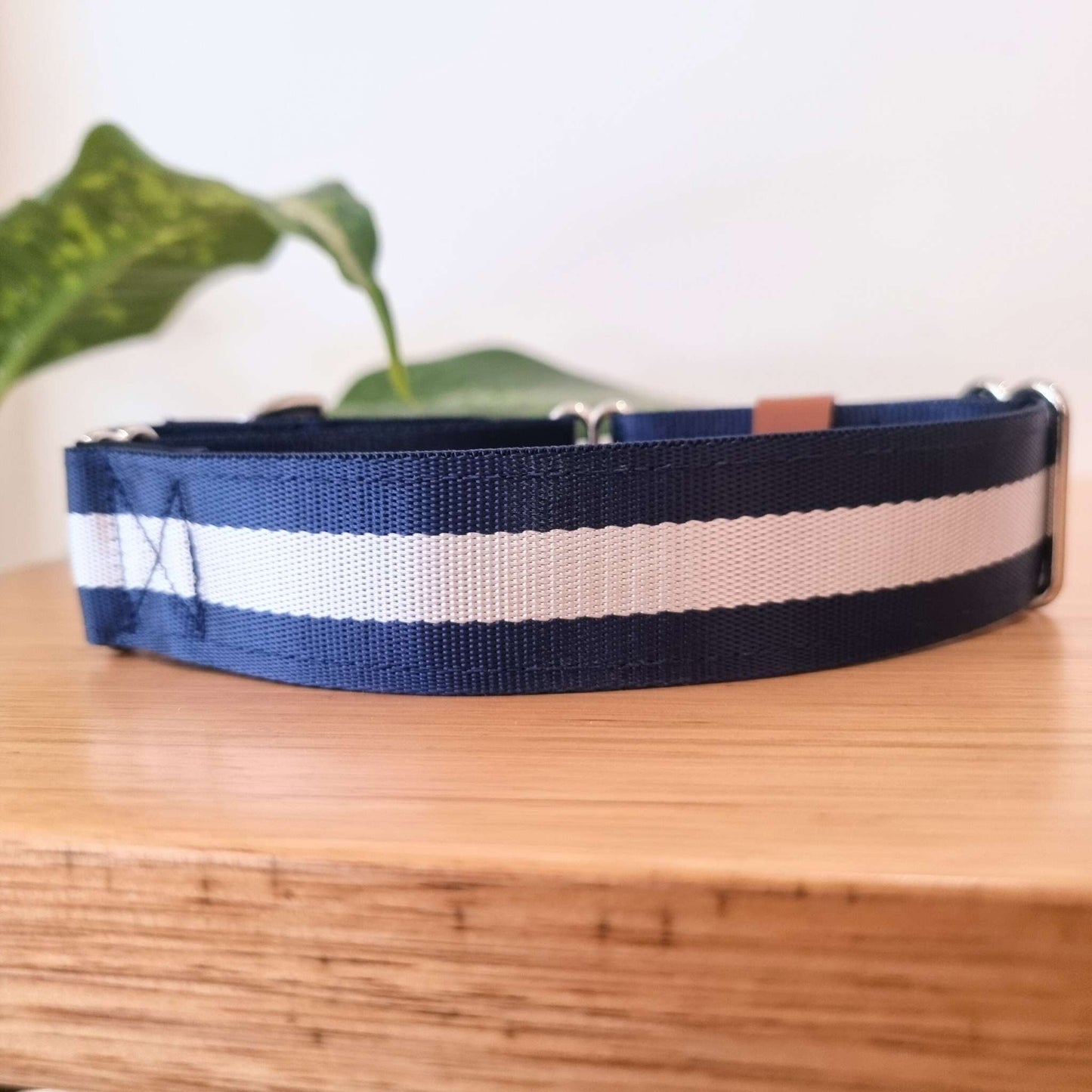 Martingale collar Navy Blue Stripe with padding and personalised option