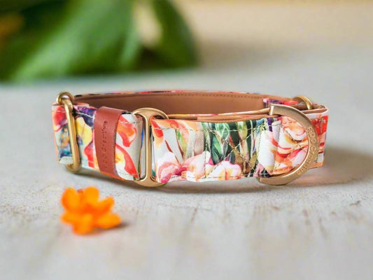 martingale dog collar with Hawaiian tropical flower print