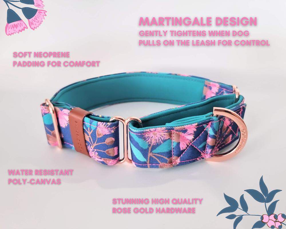 Native gum martingale collar - Water Resistant