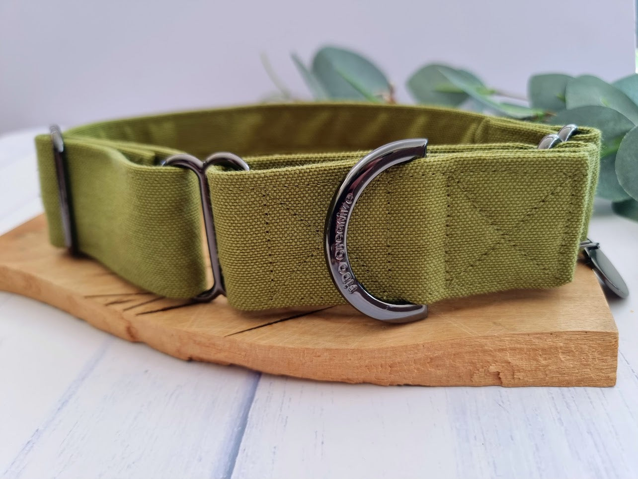 Olive Green martingale collar - Water Resistant