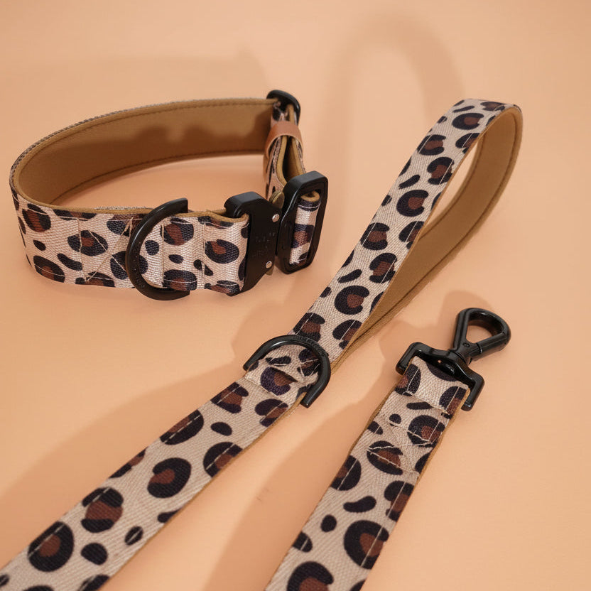Leopard print dog collar and leash set