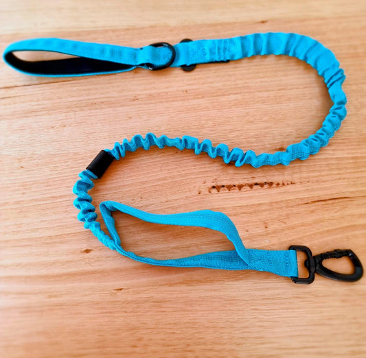 Blue Bungee Dog Leash - Reflective - Seatbelt attachment