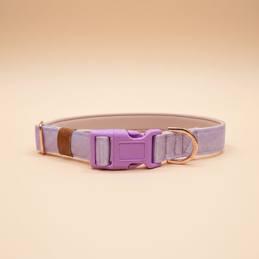lilac Dog collar with a purple buckle on a wooden surface